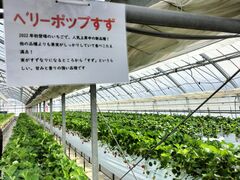 ゆいまーるFARMの写真2