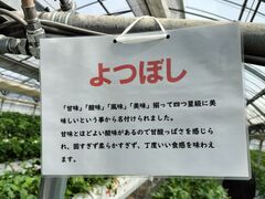 ゆいまーるFARMの写真3