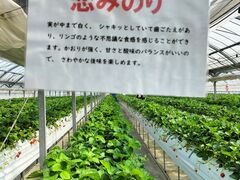ゆいまーるFARMの写真4