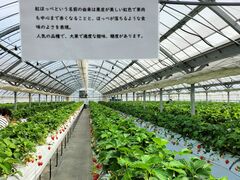 ゆいまーるFARMの写真5