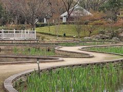 大泉緑地の写真2