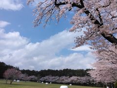 那須千本松牧場の写真2
