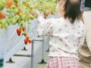 GAOさんのサンブレイズ農園の投稿写真1