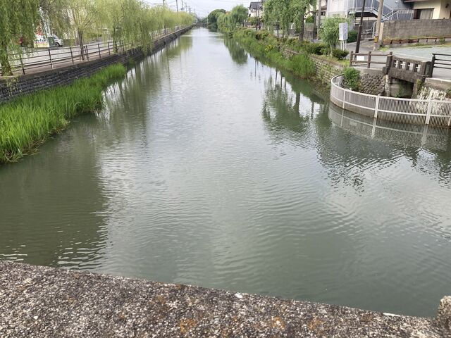水辺の散歩_水辺の散歩道