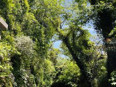 観音崎公園の写真1