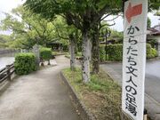 ウッキーさんの柳川温泉の投稿写真1