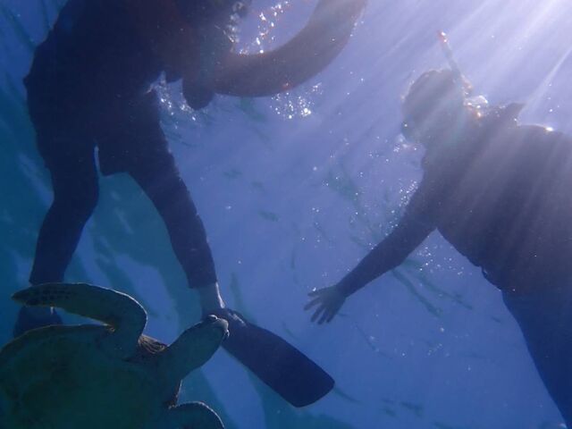 こんな近くでみれました_PolePolemarine385