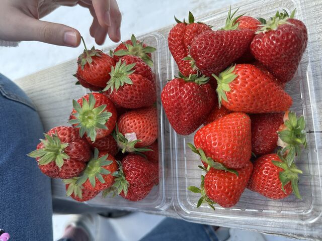種類がとっても豊富です_光農園