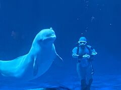 島根県立しまね海洋館(アクアス)の写真1