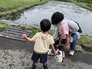 Tina ちゃんさんのファームインさぎ山の投稿写真1