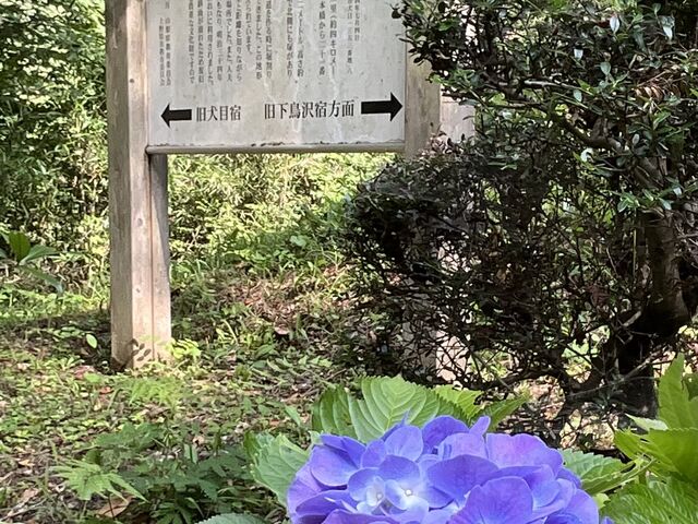 旧甲州街道