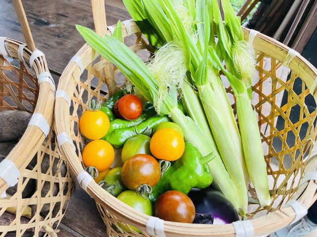 収穫した野菜達です◎_ベーストヨトミ