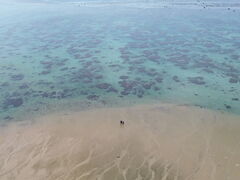 うりさんのSouth Blueへの投稿写真1