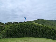 パラホーキング イン ジャパンの写真2