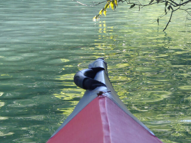 舳先に止まったトンボ。_FEELGOOD CANOE TOURS