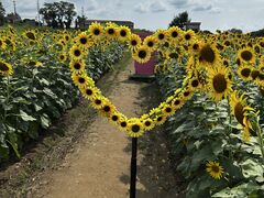 淡路ファームパーク イングランドの丘の写真2