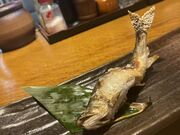 sinmaさんの金扇の投稿写真1