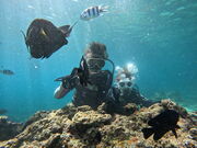 つぅさんの沖縄マリンサービス碧の投稿写真1