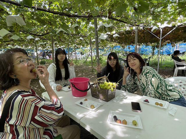 採ったシャインマスカットはグループごとにテーブル席で食べられます。_しまむら農園
