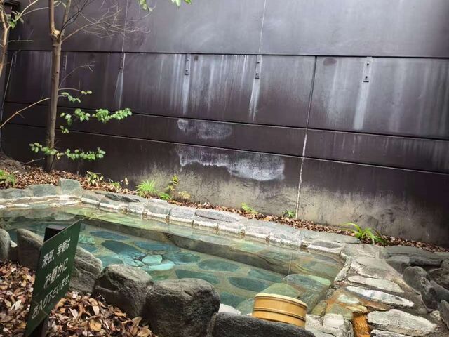 露天風呂_お風呂ずきの宿 大東館