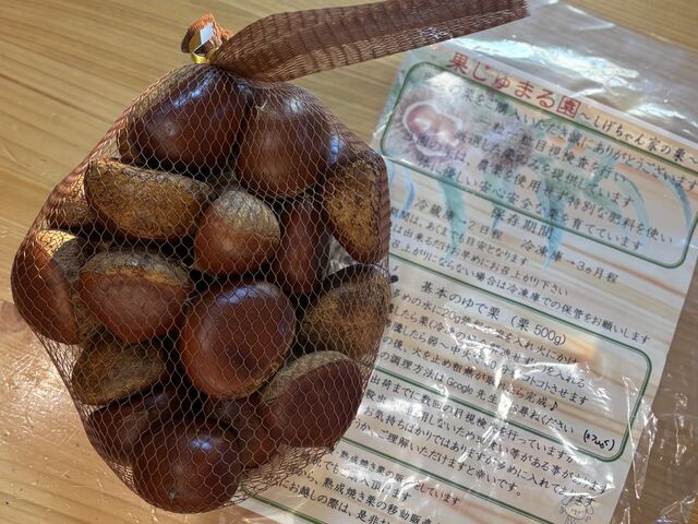 持ち帰りの栗、大きくて美味しそうです!_果じゅまる園