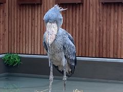 掛川花鳥園の写真1