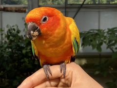 掛川花鳥園の写真2