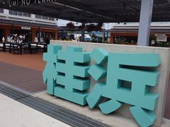 桂浜の写真1