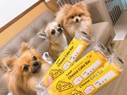 トトさんのコスギリゾートの投稿写真3