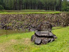 琴ちゃんさんの幸田の棚田への投稿写真1
