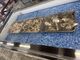 ユーミンさんの株式会社オリオンツアーへの投稿写真2
