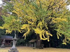 poporonさんの西巌殿寺への投稿写真1