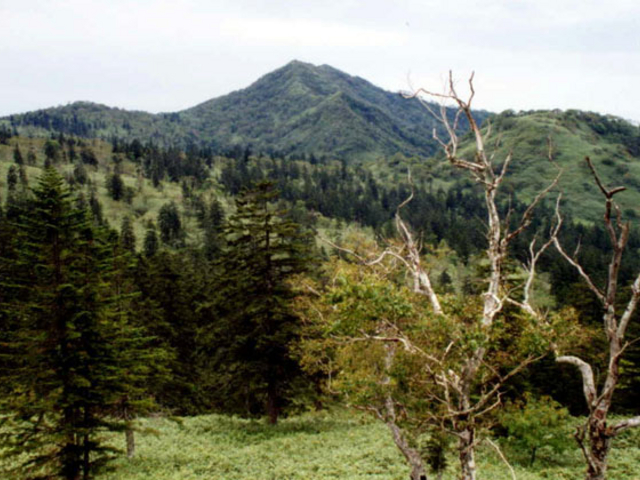 パンケ山の写真1