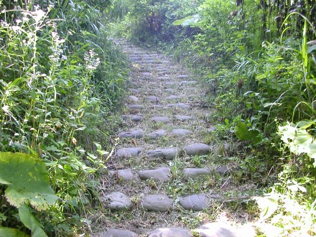四十三山の写真1