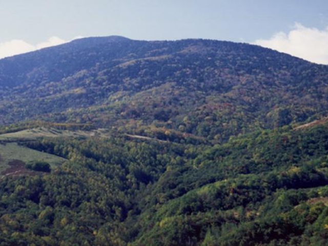 五葉山の写真1