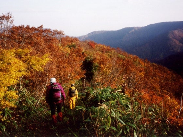 御所山の写真1