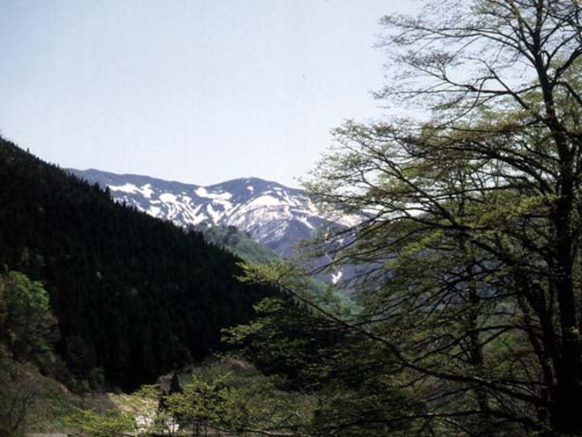 神室山の写真1