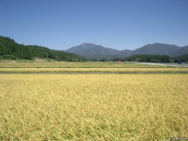 禿岳_禿岳(銚子口)