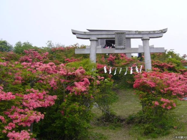 日山