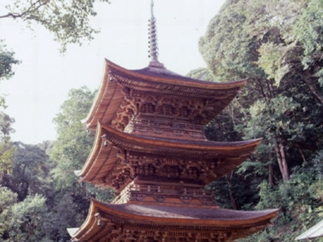 富谷山の写真1
