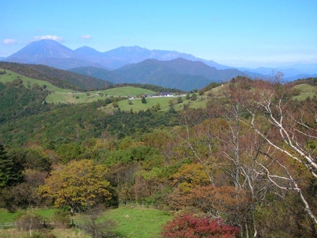 横根山