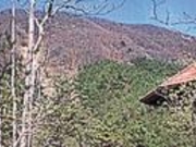大土ケ森の写真2