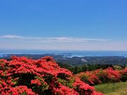 田束山の写真1