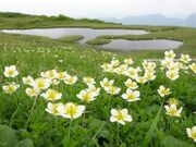 虎毛山の写真2
