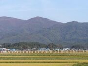 杢蔵山の写真2