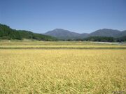 禿岳(銚子口)の写真2