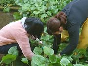 河津町観光協会の写真2