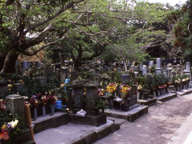 濤響寺の写真1