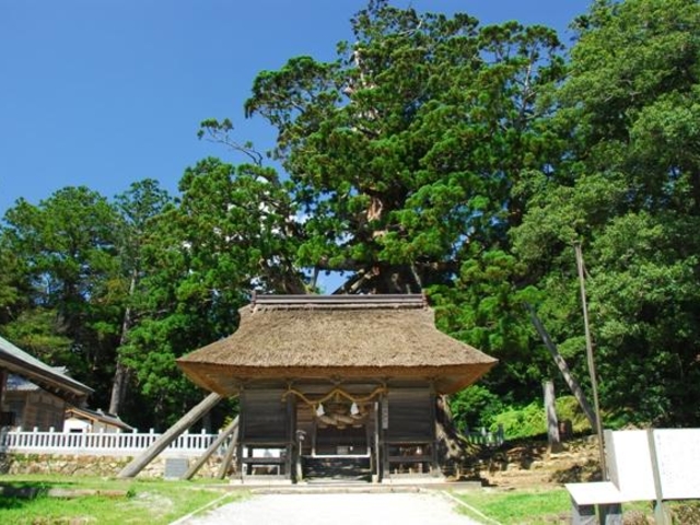 玉若酢命神社_玉若酢命神社