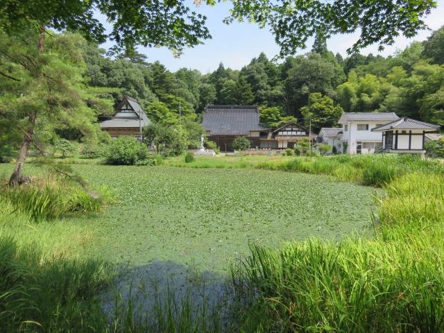 大慈寺_大慈寺